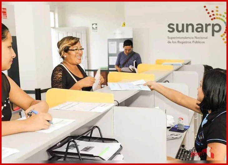 Cómo aplicar en Sunarp
