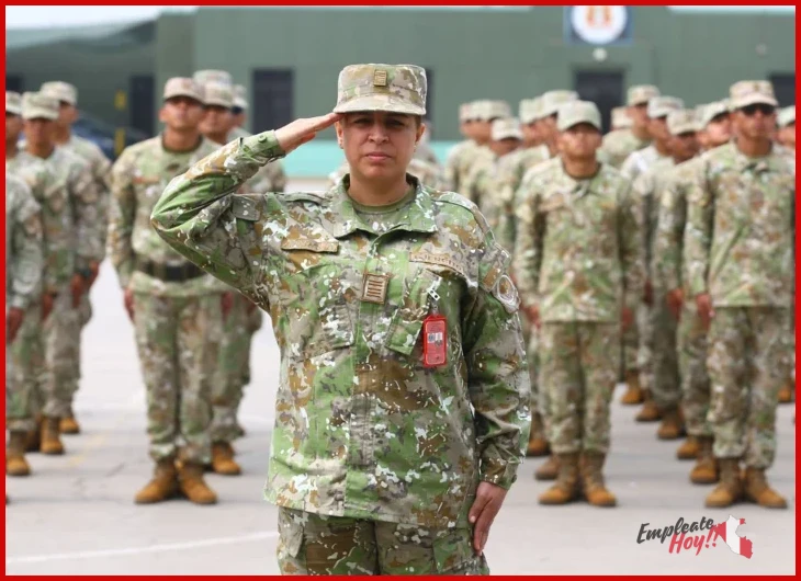 Cómo funciona ¿Cuánto gana un militar en Perú por grado? en la práctica