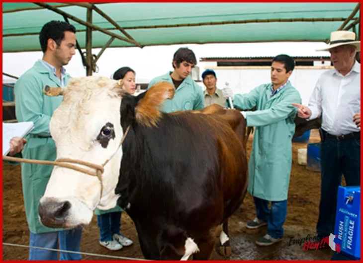 ¿Cuánto gana un veterinario en Perú? - Cuánto gana un veterinario en Perú salarios y re…