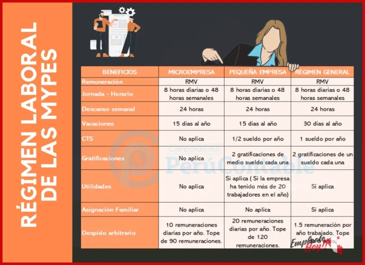 Guía sobre el régimen laboral de la micro y pequeña empresa