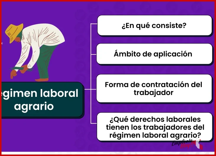 Origen y características principales del régimen laboral agrario en Perú