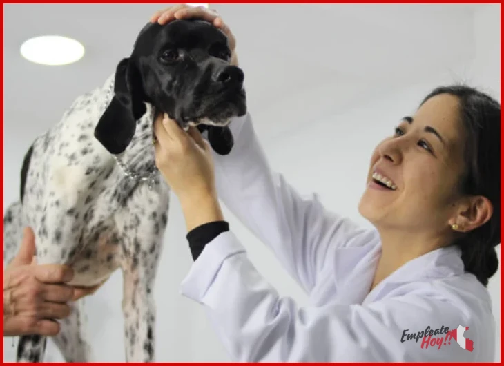 Ventajas y desventajas de ¿Cuánto gana un veterinario en Perú?